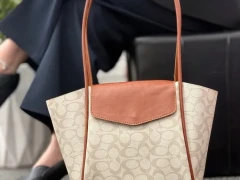 کیف آیوان*
