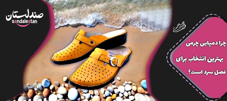 چرا دمپایی چرمی بهترین انتخاب برای فصل سرد است ؟